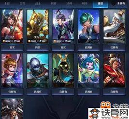 王者皮肤爆料最新截图,惊艳截图抢先看，神秘英雄即将登场！